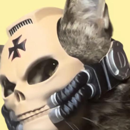 Кошачий шлем, кошачий череп, боевой шлем, регулируемая кошачья шляпа для косплея, для фотосессий, аксессуар для костюма на Хэллоуин