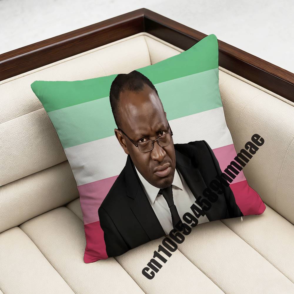 For xcm xcm Square Car Pillowcase Why Are You Gae Meme Uganda USA America Throw Pillow Case Sham Pad Cushion LGBT Cover