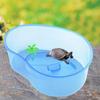 Turtle Tank with Basking Platform Large Capacity Transparent Fish Tank Turtle Breeding
