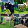 Deep Massage Livestock Grooming Brush Cylinder Brush Itch Relief Brush  For Cow