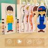 Multi-Layer Wooden Human Body Puzzle Educational Anatomy Jigsaw  Cognitive Teaching Aids