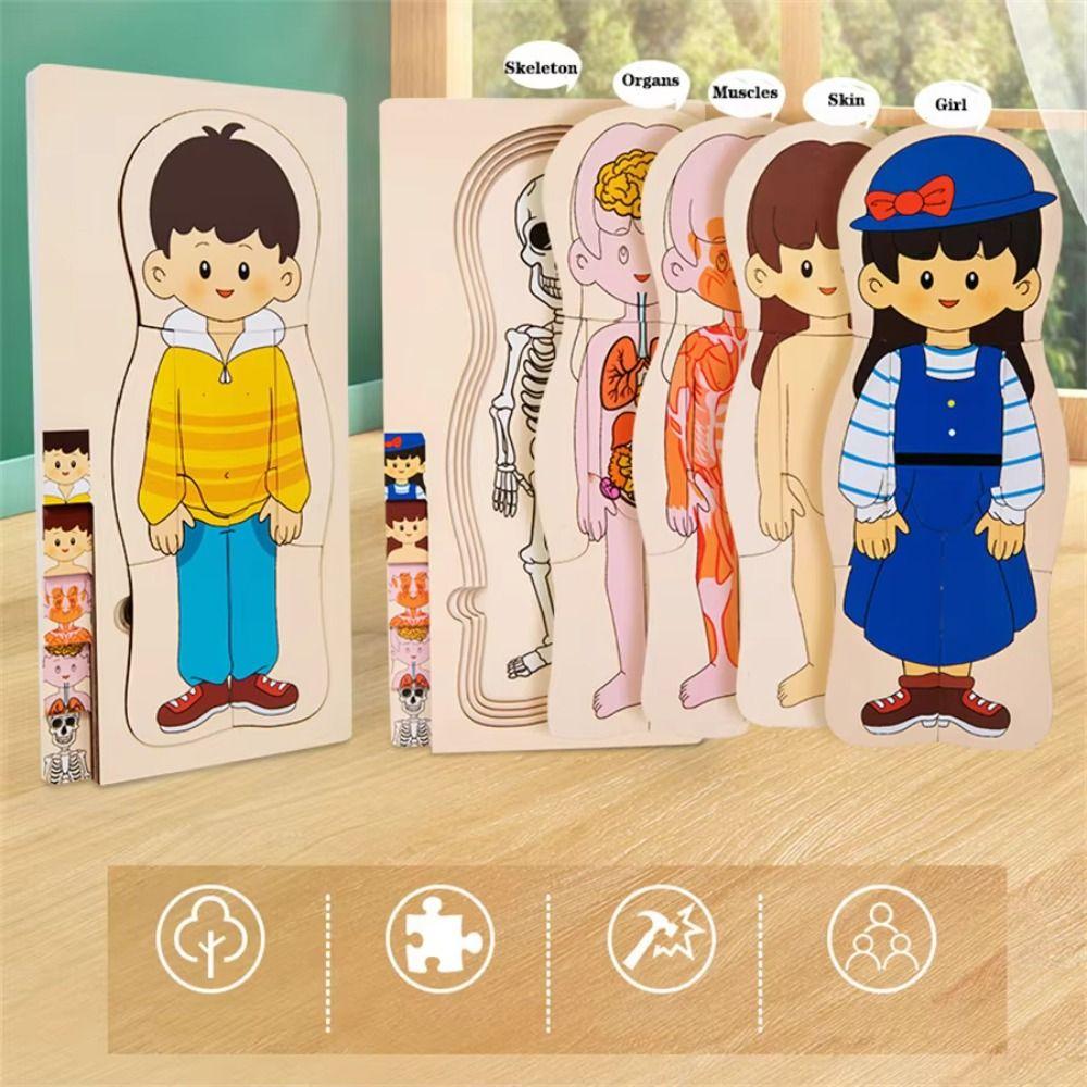Multi-Layer Wooden Human Body Puzzle Educational Anatomy Jigsaw Cognitive Teaching Aids