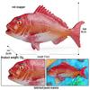 Marine Animal Simulation Models: Jellyfish, Octopus, Sea Shrimp, Sea Anemone, Squid, Horseshoe Crab, Crayfish, Arrowhead