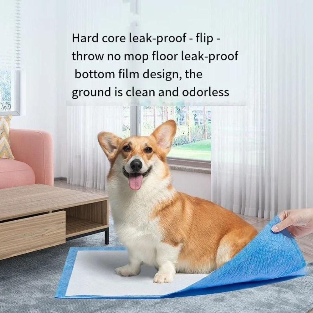 100PCS Disposable Dog Training Pee Pad Super Absorbent Urine Nappy Mat Diaper Mats  Toddler