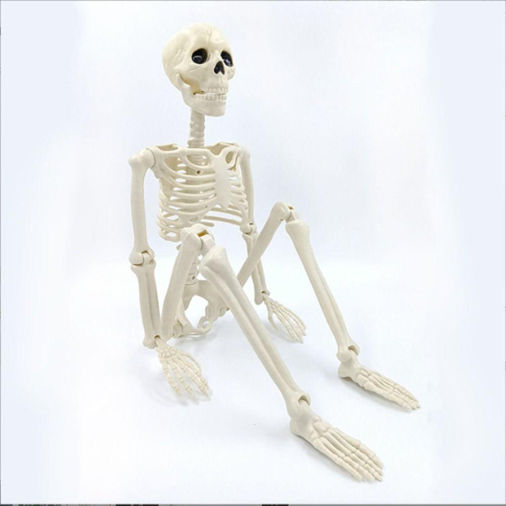 40CM Halloween Human Skeleton Plastic Bone Model Creative Body Figurine Outdoor Indoor