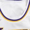 Nike Повседневный спортивный костюм Lakers Team James 6 Jersey Kids Sportswear Белый 3Z2B7BZ1P-LAK06