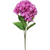 Bouquet of 4 burgundy hydrangeas