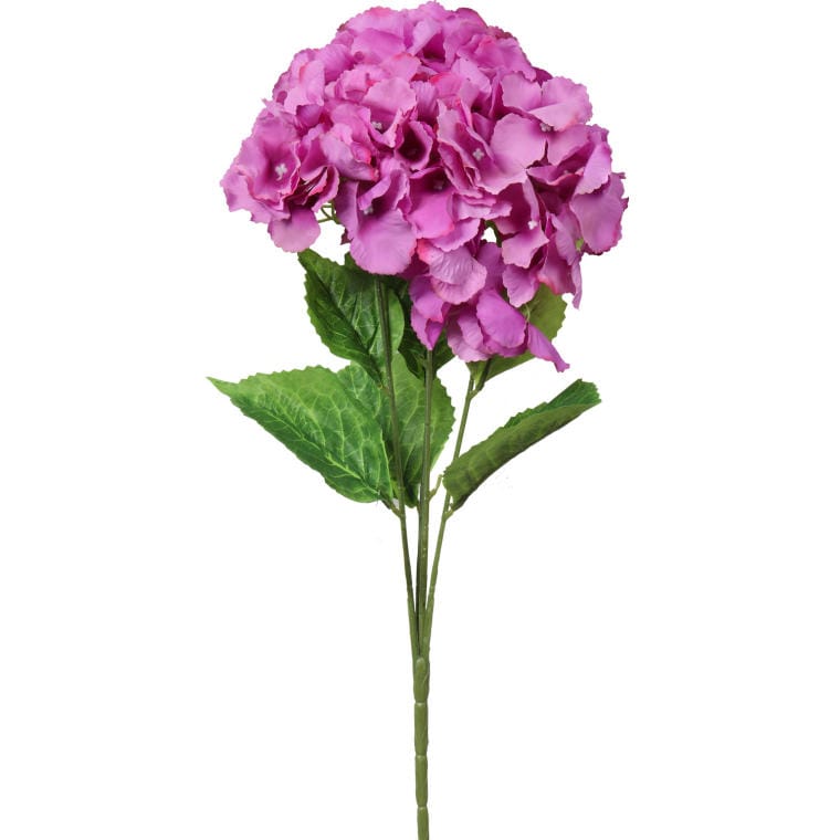 Bouquet of 4 burgundy hydrangeas