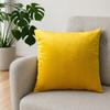 Solid Color Velvet Pillow Cover, Soft Plush Throw Pillow Case, 17.7x17.7 Inch Smooth Velvet Cushion Cover for Sofa, Bed, Office, Cozy Home Decor