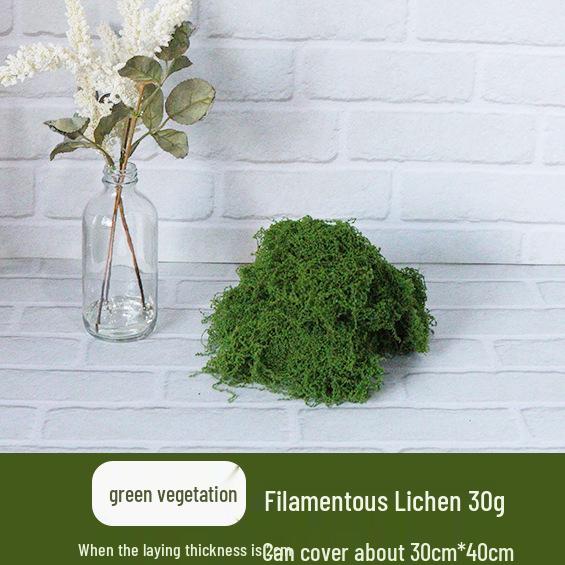 Artificial Simulation Moss Grass for Landscaping and Potted Arrangements