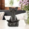 Медитация Статуя кота Сидящий котенок Фигурка из смолы Дзен Йога Животное Скульптура Домашний Офис Книжная Полка Украшение Рабочего Стола Орнамент