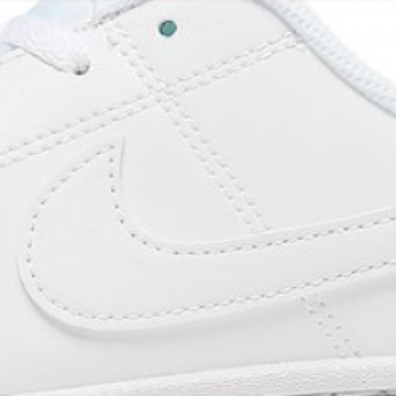 Nike Пальто женское Royal 2 Next Nature Dh3159 100