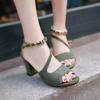 Summer Fish Mouth Fashion Chunky Sandals Women's Medium with A Line Buckle 100 Network Red Casual Women's High Heels