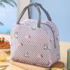 Cartoon Insulation Bags Large Capacity Cooler Lunch Bag Thickened Lunch Bag
