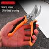 Stainless Steel Pruning Shears for Thick Branches, Floral Art, and Flowers