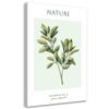 Печать на холсте, Зеленая веточка - Природа