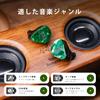 Linsoul Punch Audio Portazo Гибридные (1 динамический + 2 планарных драйвера) Высококлассные внутриканальные мониторы с отсоединяемым кабелем, эргономичным дизайном, ношение за ухом,