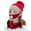 Autumn and Winter Woolen Hat Set Ladies Warm Plus Velvet Knitted Woolen Hat Bib Two-piece Woolen Hat