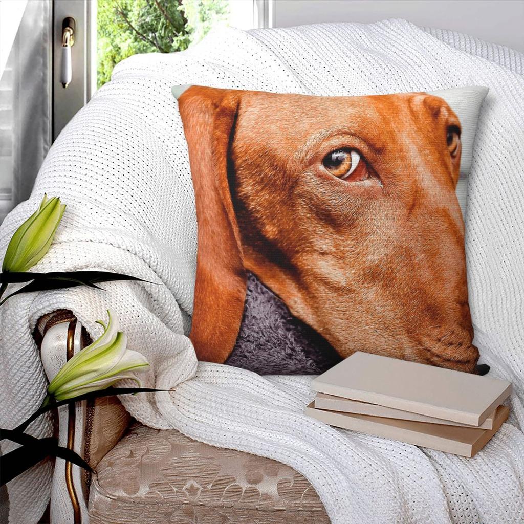 The Eyes Have It Vizsla Dog Pillowcase Polyester Linen Velvet Pattern Zip Decorative Sofa Seater Cushion Cover
