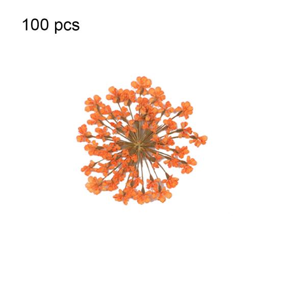 100шт прессованный сушеный цветок Ammi Majus из эпоксидной смолы для ногтей DIY Декор для телефона