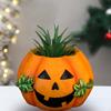 Halloween Pumpkin Planter Plant Pot Desktop Container Planting Flowerpot for Kitchen