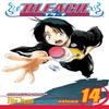 Bleach Vol. 14 by Tite Kubo Paperback Book 9781421506128