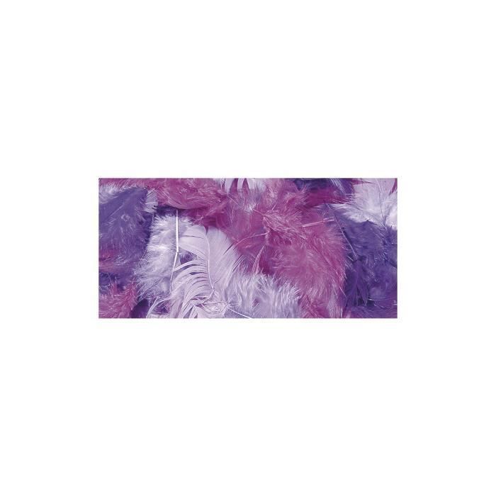 Mélange de plumes - RAYHER - Teintes lilas - 3-10 cm - 10 g - Sct.-LS