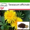 Dandelion - 200 Seeds - With Potting Substrate for Better Cultivation - Taraxacum Officinale