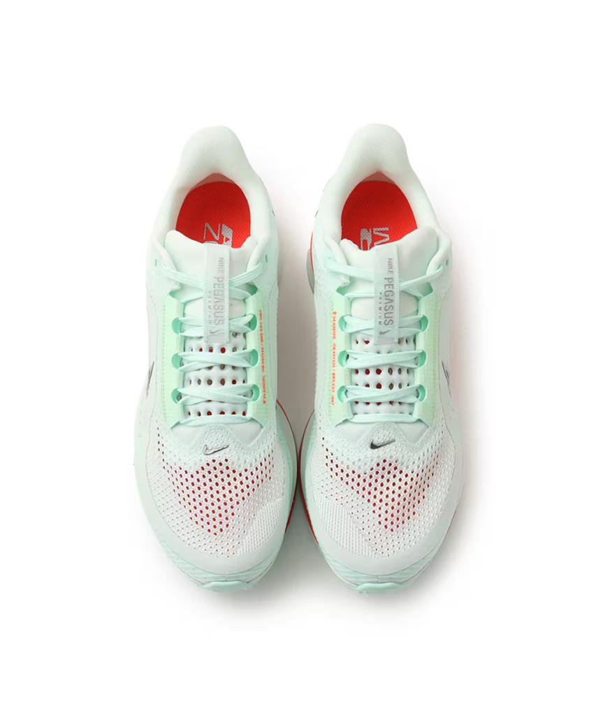 HQ2592-301 Nike Pegasus PRM Бледно-зеленый (Мужской)