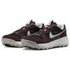 Nike ACG Lowcate Earth Мужские кроссовки коричнево-черные Photon-Dust DM8019-202