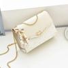 2024 Леди Сумочка с цепочкой и ремешком Модная женская сумка через плечо с жемчугом