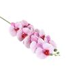 Симуляция 3D-печати Цветок орхидеи-бабочки 9 голов Искусственные орхидеи-мотыльки Отель Ресторан