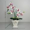 Adult Version Of The Decorative Ornament/Pink Orchid, Perfect For Mother'S Day Gifts, Suitable For Home Decor, Office Decoration