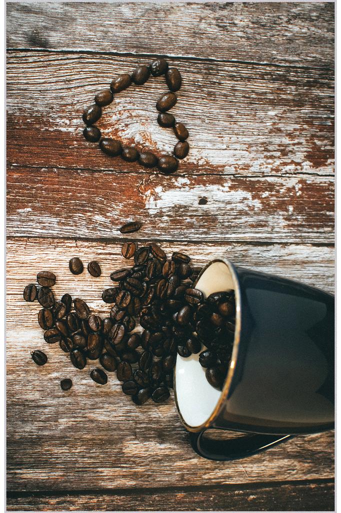 Eliana Home Моющийся ковер с принтом LNA2100-SD178