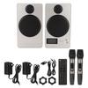 Bluetooth Speaker System Subwoofer Heavy Bass High Power Karaoke Machine with Wireless Microphones
