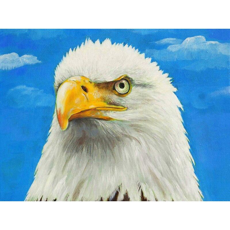 Новый 5D DIY алмазная живопись голова орла Алмазная вышивка животных вышивка крестиком полная круглая дрель домашний декор ручной художественный подарок