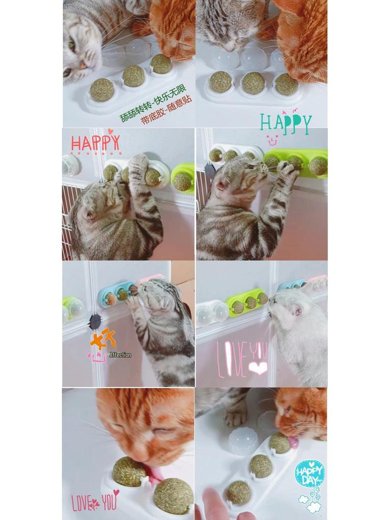 Catnip Merry-Go-Round: Self-Play Teething Toy with Matatabi Fruit for Cats