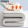 Lamb Wool Home Mattress Solid Color Tatami Plush Cushion Winter Thickened Warm Bedroom Dormitory Hotel Single and Double People Padded Quilts