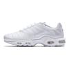 Мужские кроссовки Air Max Plus TN Triple White Белый-Белый AJ2029-100