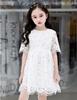 White Short Size Perfect for Memorial and This formal lace dress is and stylish in Biei-ya Children's All-Lace Dress, Sleeves, 130, Weddings,