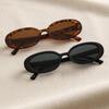 2 Pieces of Y2K Fashion Oval Frame Glasses PC Lenses Plastic Frame Daily Wear Decorative Glasses