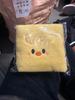 STRAY KIDS Fan Meeting Entrance Towel Poarry