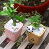 Cute Animal Resin Flower Pot Succulent Plant Pot Planter Home Decor Desktop Ornaments Bonsai Garden Decoration
