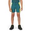 Regatta Childrens/Kids Sorcer II Mountain Shorts