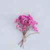 Classic Rustic Dried Flower Bundle Aesthetic Photography Props Minimalist Home Room Desk Vases Decor Accessories