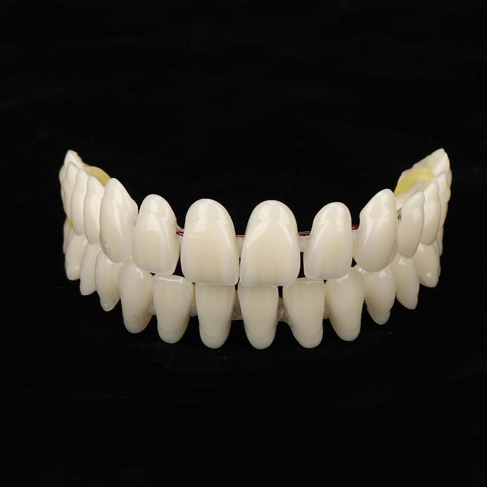 1Pair Resin Resin Denture Teeth Set Dental Supply DIY False Teeth For Training Models