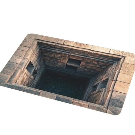 3D Optical Illusion Floor Mat Non-Slip Vision Rug with Stunning 3D Visual Effect Design Area Rug for Living Room Bedroom Hallway Easy Care Carpet