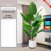 210cm Artificial Bird of Paradise Plant with White Pot