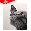 Животные Кошка Бабочка Алмазная вышивка 5D DIY Вышивка крестом Изображение Полный круглый бриллиант