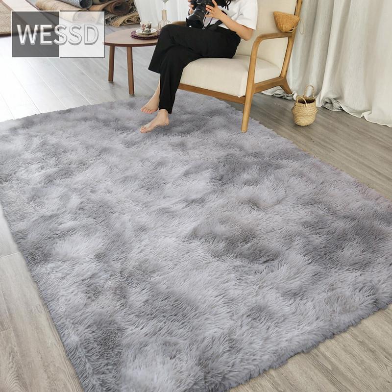 Плюшевый ковер для гостиной с градиентным разноцветным лохматым мягким напольным ковриком в спальне, лохматый ковер для детской комнаты